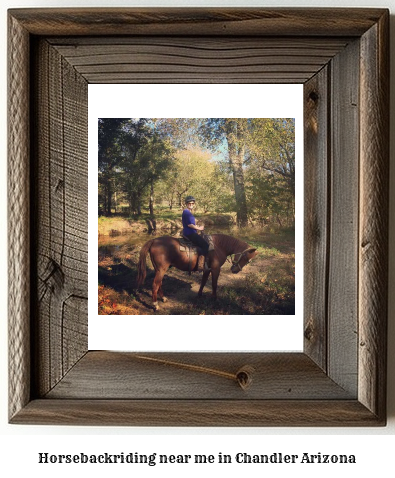 horseback riding near me in Chandler, Arizona